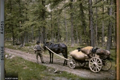 Suisse, De Pontresina à Roseg, De Pontresina à Roseg