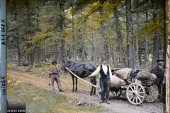 Trois hommes posent avec un cheval et une charrette dans une forêt, Pontresina, Suisse, 8 juillet 1912, (Autochrome, 9 x 12 cm), Auguste Léon, Département des Hauts-de-Seine, musée Albert-Kahn, Archives de la Planète, A 71 168