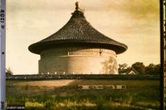 Pet Chili, Pékin, Temple du Ciel, sans légende