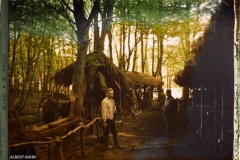 France, Compiègne, Forêt de Compiègne