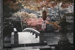 Japon, Kyoto, Nazen-ji, Paysages d'automne, Vues diverses