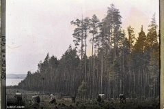 Route de Rattwik à Mora