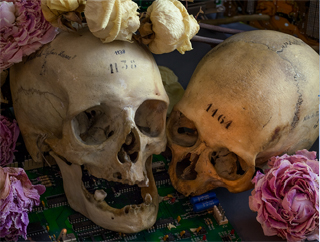 Un banquete cruel. PourQuoi? |