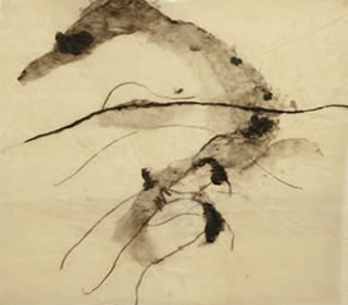 John Berger y Marisa Camino | Como crece una pluma