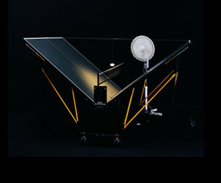 Arte portugués contemporáneo |