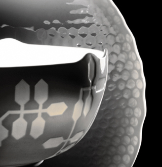 Diseño y comida | ¡A la mesa!