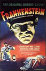 EL DOCTOR FRANKENSTEIN (Frankenstein)