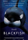 Blackfish