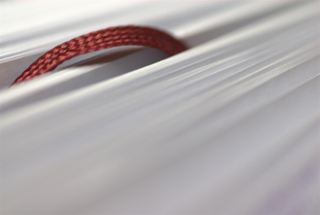 CON LA FELIZ CIGARRA