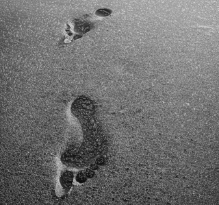 Forma arte y parte | Proyecto