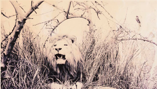 Taller de libro de viaje. Un viaje fascinante | Juego de niños