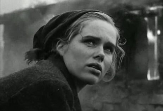 XIII ciclo sobre refugio e inmigración