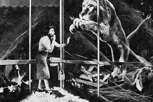 Los sueños de animales