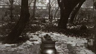 Una ventana en Praga. Fotografías de los años cincuenta