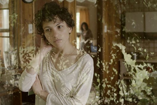 Fotograma de la película El árbol magnético