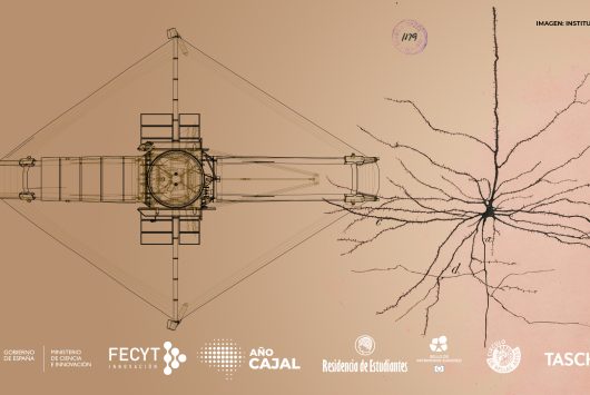Coloquio Ilustrar la ciencia
