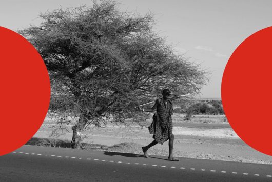 web_entradas_literatura